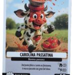 CAROLINA PASSATINA-Anomalia Galattica