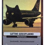 GATTINO AEROPLANINO-Universo Psichedelico