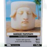 NANINANI MIAMIMIAMI-Anomalia Galattica