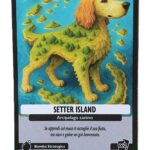 SETTER ISLAND-Anomalia Galattica