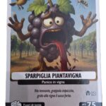 SPARPIGLIA PIANTAVIGNA-Allucinazione Cosmica