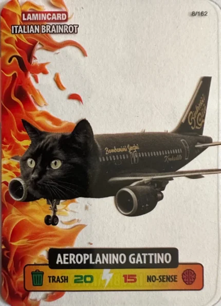 AEROPLANINO GATTINO-Lamincard