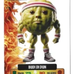 BUDI DI DUN-Lamincard