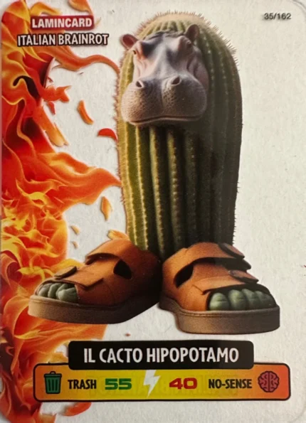 IL CACTO HIPOPOTAMO-Lamincard