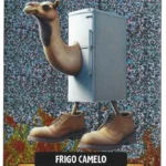 FRIGO CAMELO-Lamincard