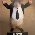 MISTER CHEDDA-Lamincard