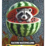 RACOONI WATERMELUNNI-Lamincard
